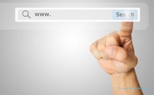 Webiste-Search Website Search