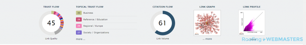 Screenshot of Majestic Link Profile Metrics