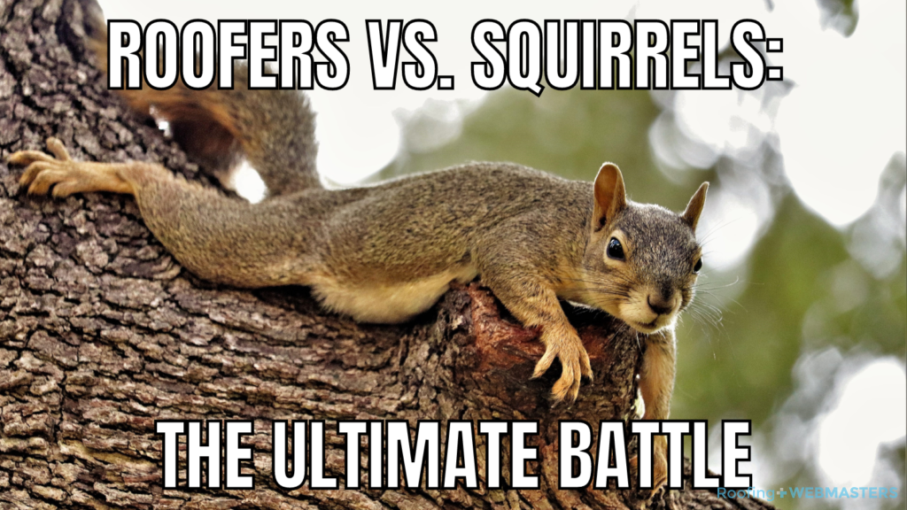Squirrel vs. Roofer Meme